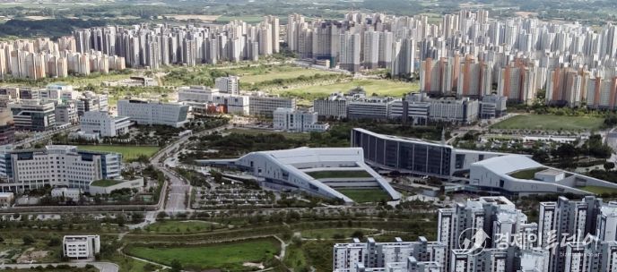충청남도cjd