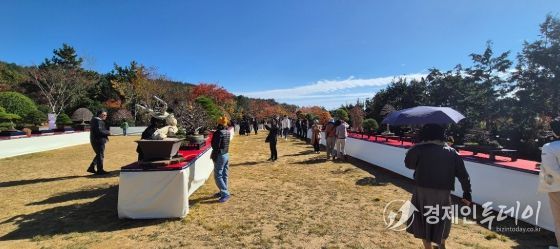 2025 ABFF 컨벤션&대한민국 분재 대전 성황리 폐막..