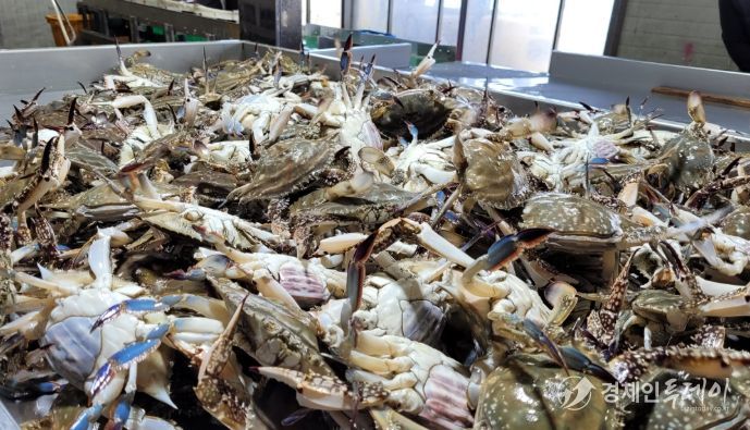 진도군, 해양수산부 공모사업 선정